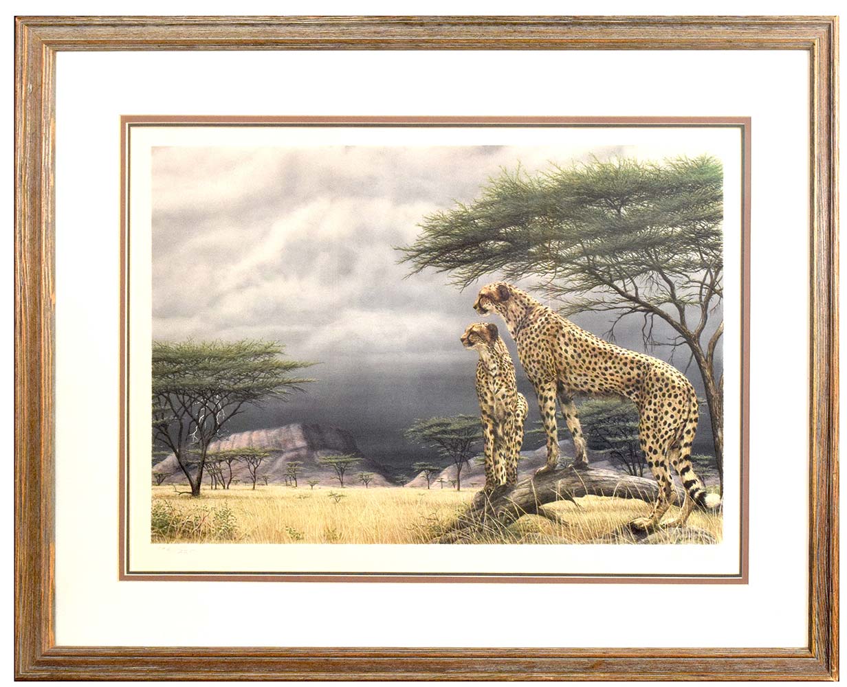 Dennis Curry. Leopards on alert.